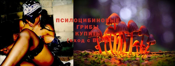 дживик Заводоуковск